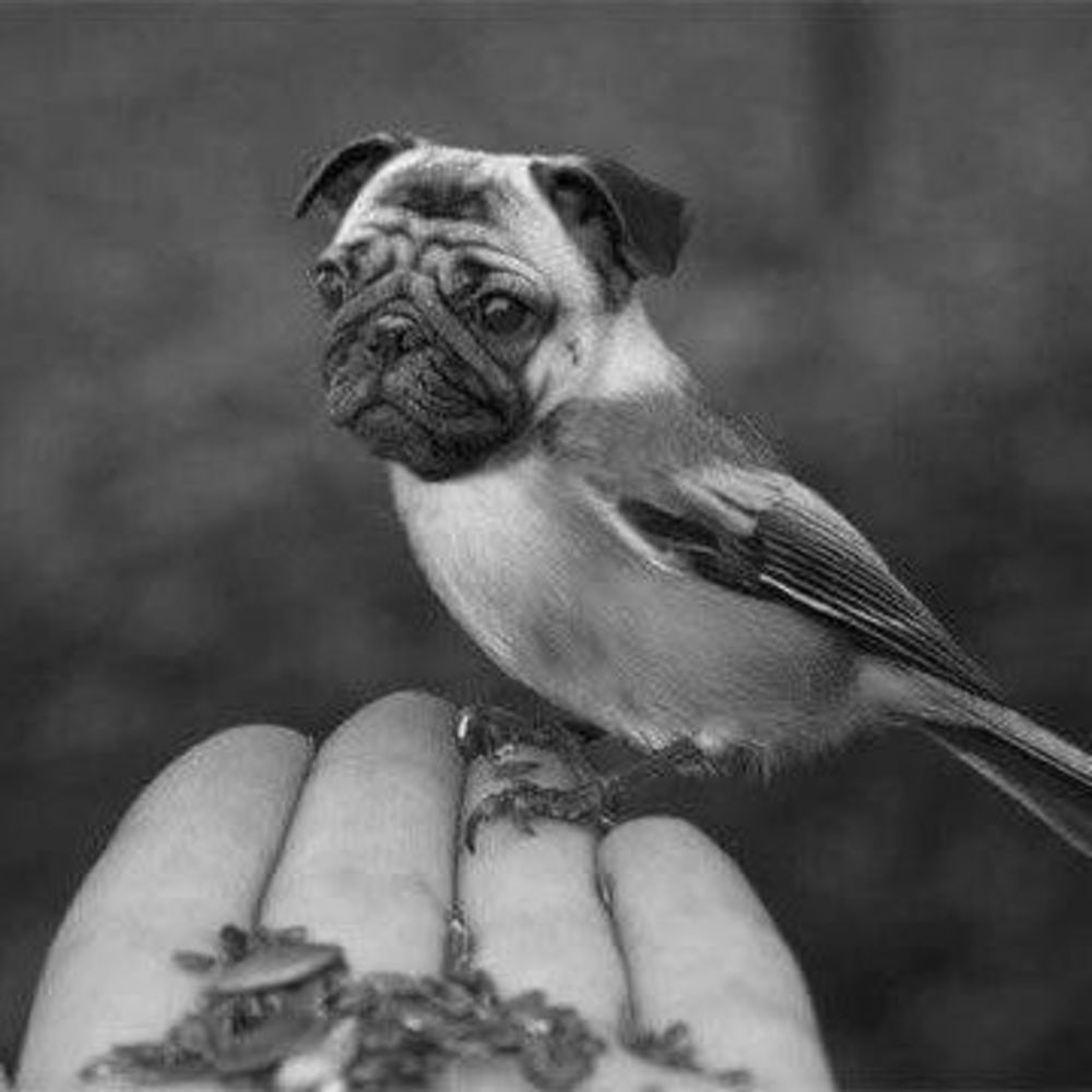 Meet your Posher, Deanette